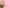 Fresh & Fabulous: Same-Day Birthday Flower Delivery Ideas