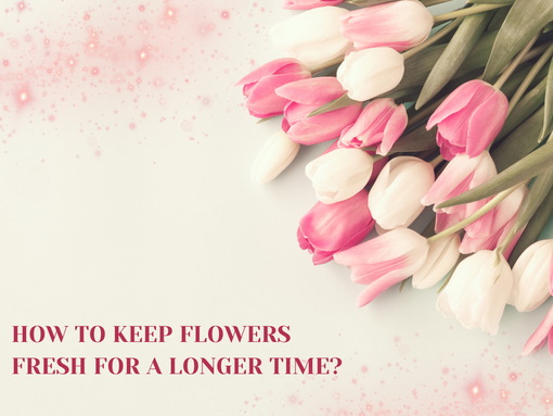 How to Keep Flowers Fresh for a Longer Time: Expert Tips