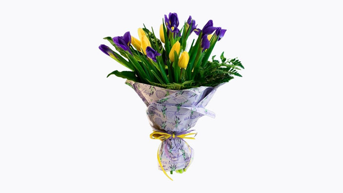 Spring Tulip Harmony