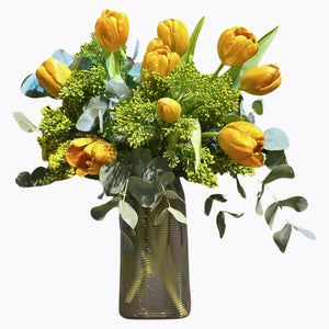 Golden Tulip Glow