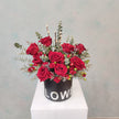 ROSE IN FLOWER BOX