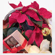 Poinsettia & Chocolate Festive Basket