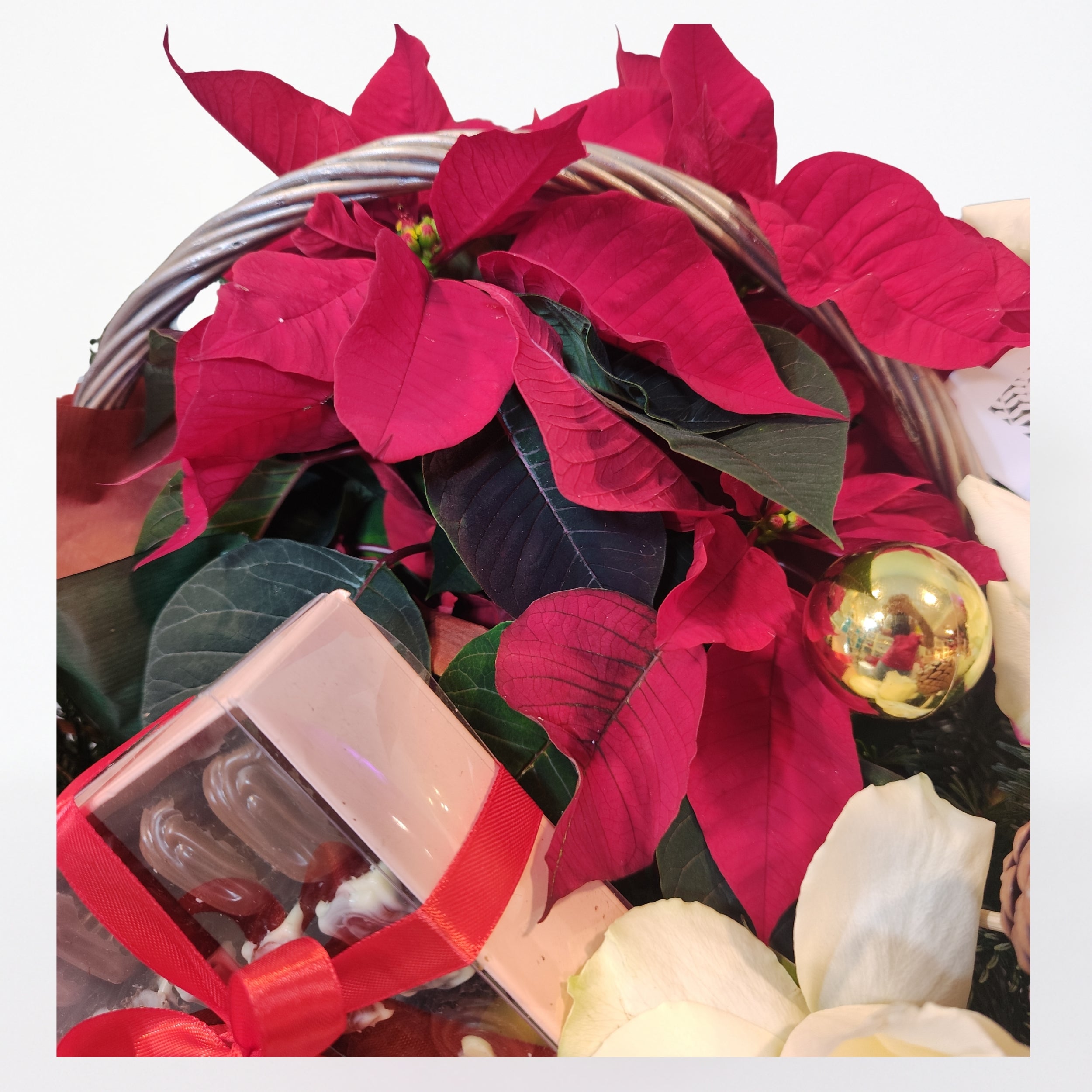 Poinsettia & Chocolate Festive Basket