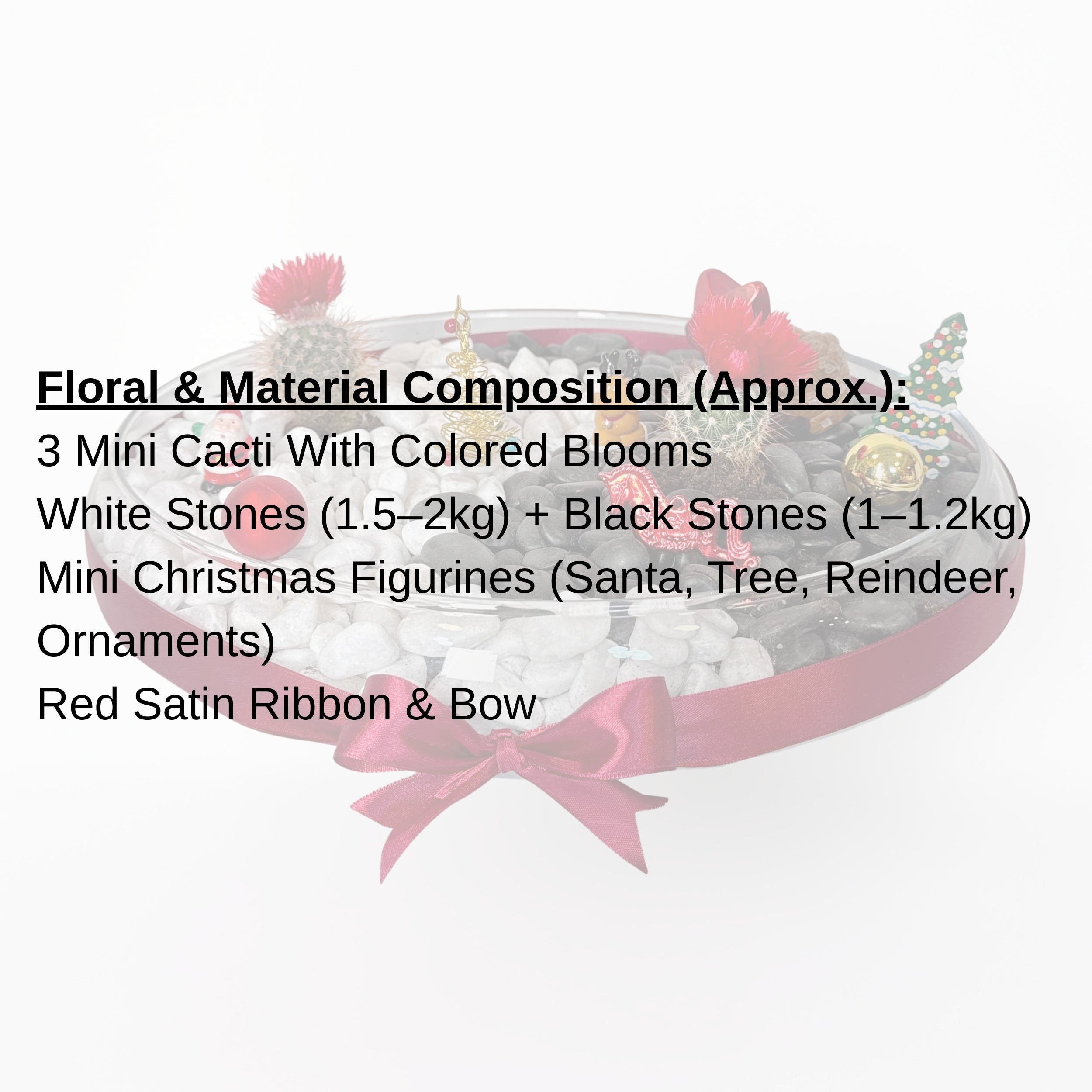 Christmas Cactus Garden