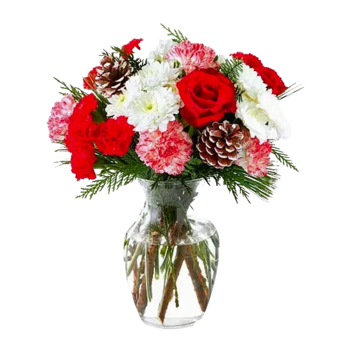 Red & White Carnation Christmas Vase