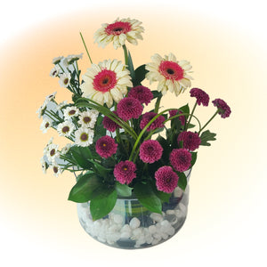 Pink Gerbera & Daisy Vase