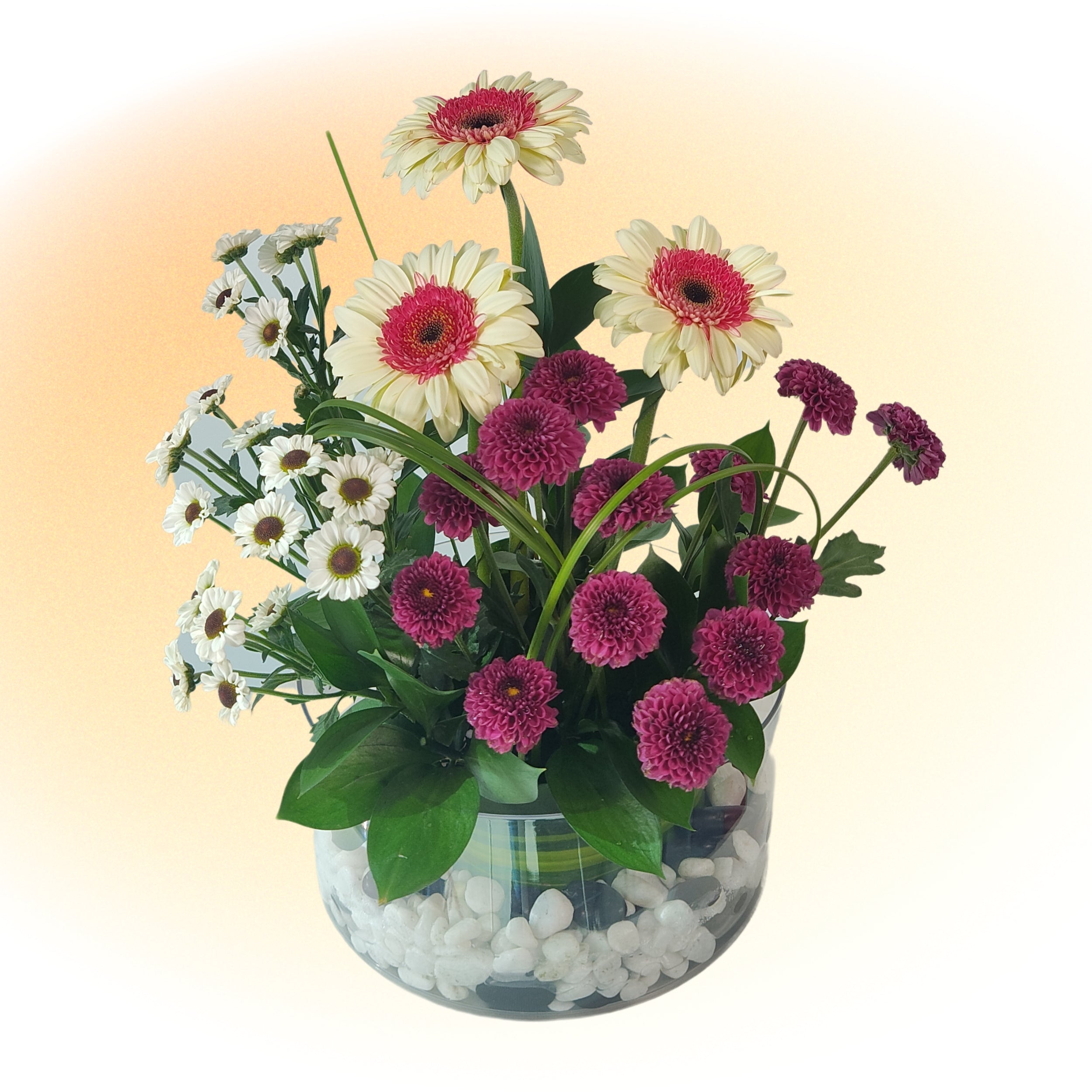 Pink Gerbera & Daisy Vase