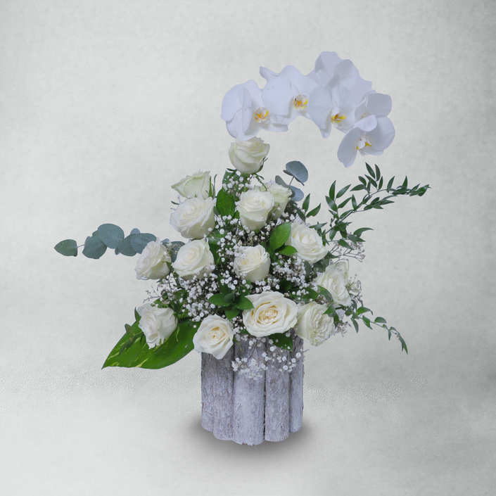 White on Wood base