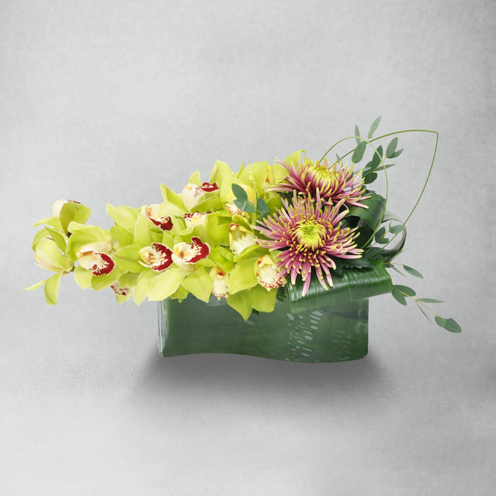 The Beauty of Freshness
